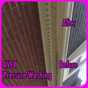 AVEX Commercial Wall Cleaning