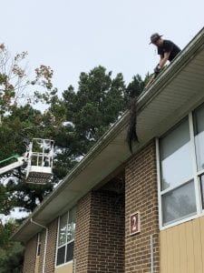 AVEX Gutter and Soffit Cleaning