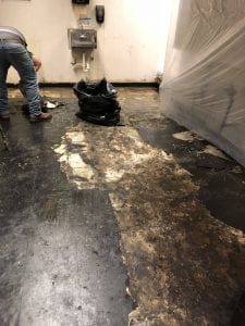 VCT Tile Replacement AVEX